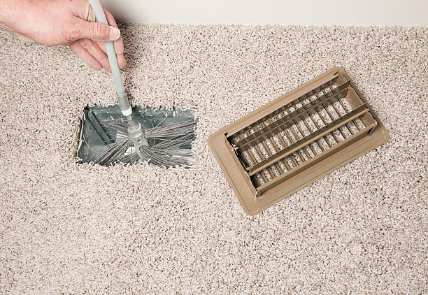 Best Air Duct Mold Removal  in Mcgraw, NY